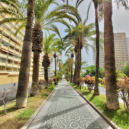 Apartment Alta Groundfloor Puerto de la Cruz (Tenerife)
